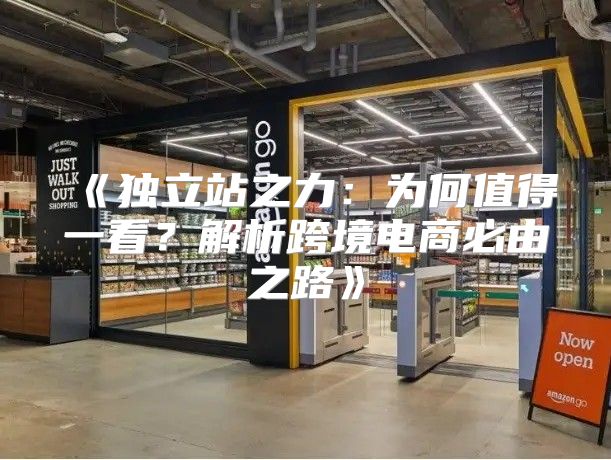 独立站之力：为何值得一看？解析跨境电商必由之路
