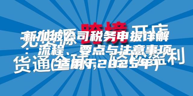 新加坡公司税务申报详解：流程、要点与注意事项适用于2025年