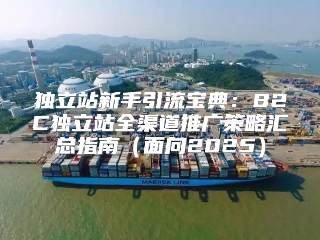 独立站新手引流宝典：B2C独立站全渠道推广策略汇总指南面向2025