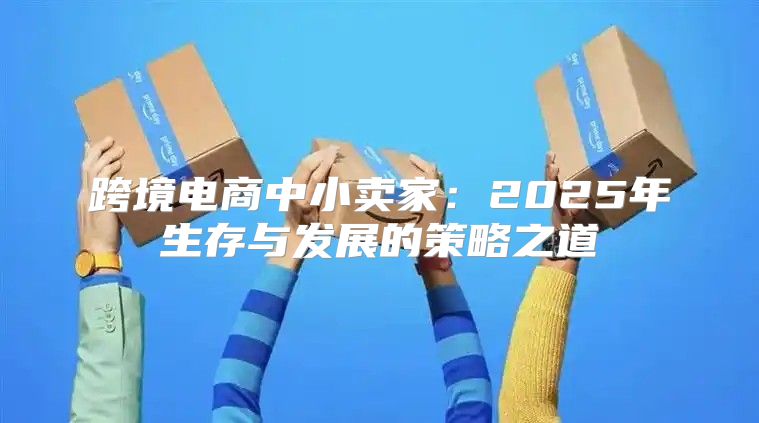 跨境电商中小卖家：2025年生存与发展的策略之道