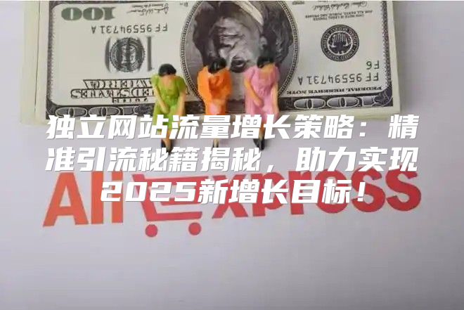 独立网站流量增长策略：精准引流秘籍揭秘，助力实现2025新增长目标！