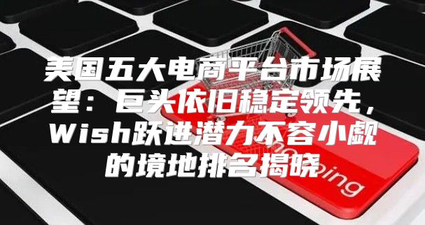 美国五大电商平台市场展望：巨头依旧稳定领先，Wish跃进潜力不容小觑的境地排名揭晓
