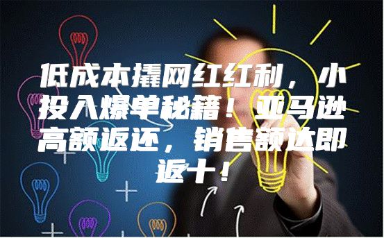 低成本撬网红红利，小投入爆单秘籍！亚马逊高额返还，销售额达即返十！