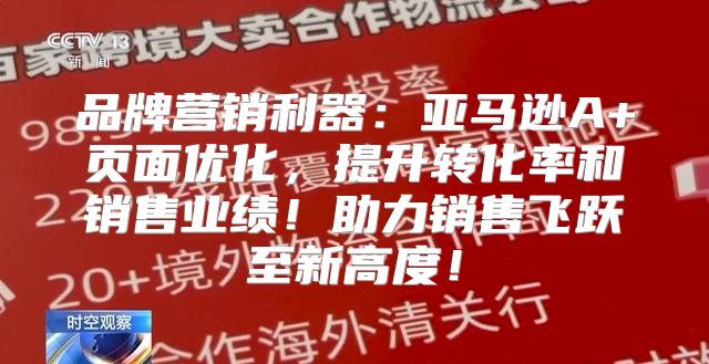 品牌营销利器：亚马逊A+页面优化，提升转化率和销售业绩！助力销售飞跃至新高度！