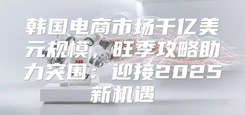 韩国电商市场千亿美元规模，旺季攻略助力突围：迎接2025新机遇