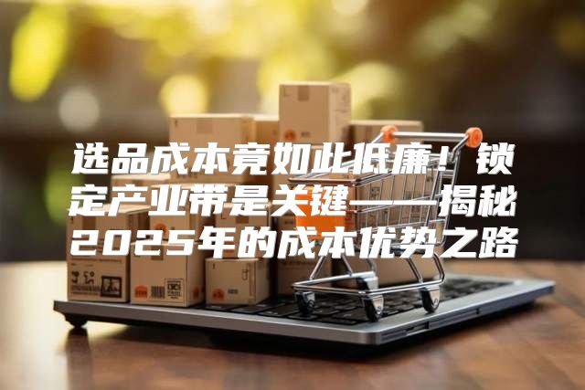 选品成本竟如此低廉！锁定产业带是关键——揭秘2025年的成本优势之路