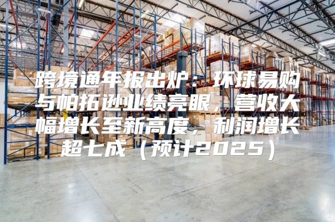 跨境通年报出炉：环球易购与帕拓逊业绩亮眼，营收大幅增长至新高度，利润增长超七成预计2025