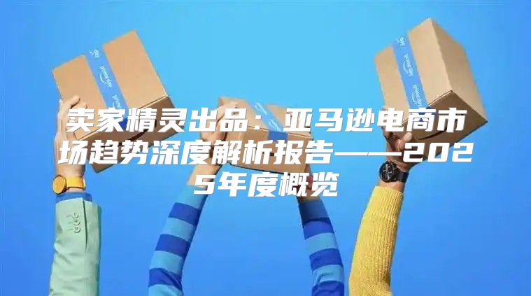 卖家精灵出品：亚马逊电商市场趋势深度解析报告——2025年度概览