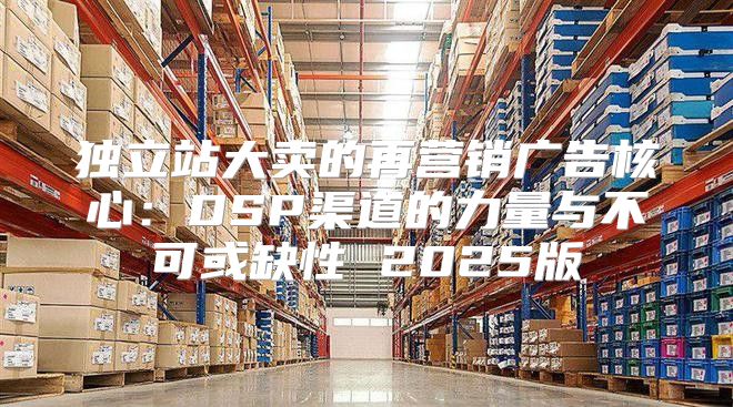 独立站大卖的再营销广告核心：DSP渠道的力量与不可或缺性 2025版