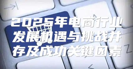 2025年电商行业发展机遇与挑战并存及成功关键因素
