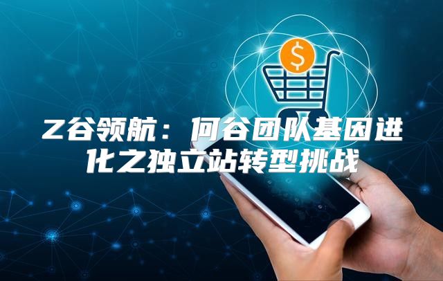 Z谷领航：何谷团队基因进化之独立站转型挑战