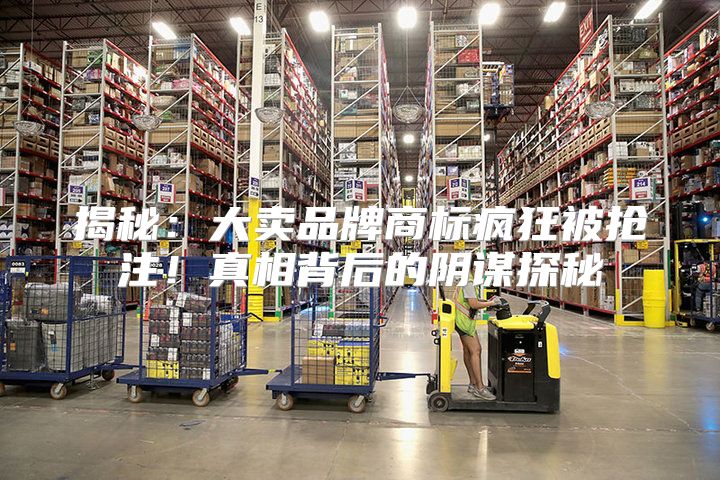 揭秘：大卖品牌商标疯狂被抢注！真相背后的阴谋探秘