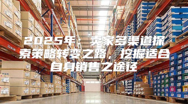 2025年：卖家多渠道探索策略转变之路，挖掘适合自身销售之途径
