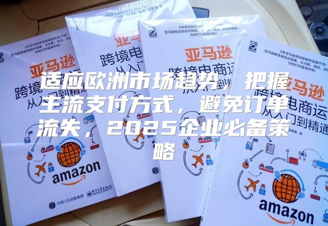 适应欧洲市场趋势，把握主流支付方式，避免订单流失，2025企业必备策略