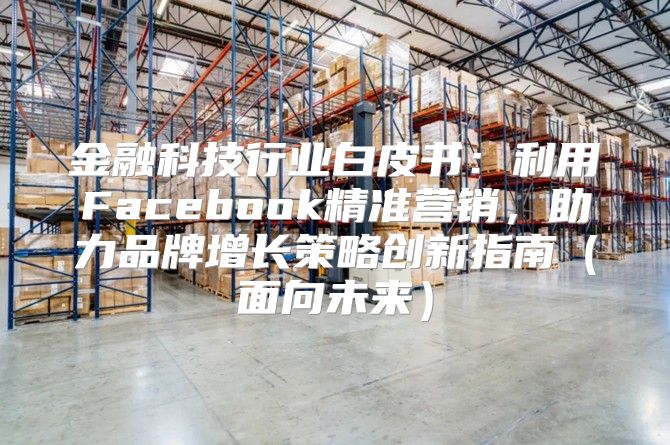 金融科技行业白皮书：利用Facebook精准营销，助力品牌增长策略创新指南面向未来