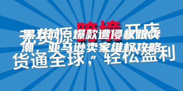黑五网一爆款遭侵权跟卖潮，亚马逊卖家维权攻略”