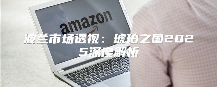 波兰市场透视：琥珀之国2025深度解析