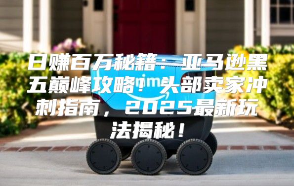 日赚百万秘籍：亚马逊黑五巅峰攻略！头部卖家冲刺指南，2025最新玩法揭秘！