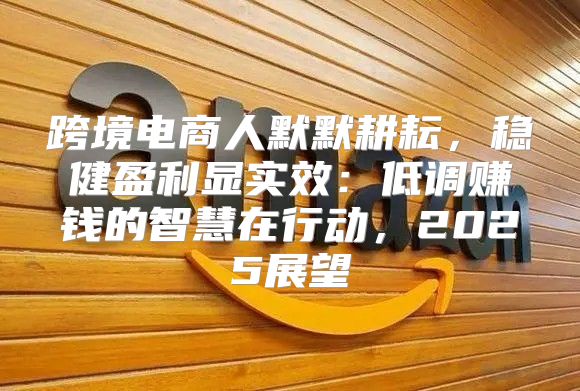 跨境电商人默默耕耘，稳健盈利显实效：低调赚钱的智慧在行动，2025展望