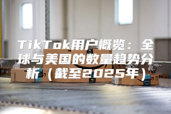 TikTok用户概览：全球与美国的数量趋势分析截至2025年