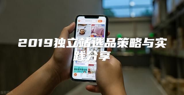 2019独立站选品策略与实践分享