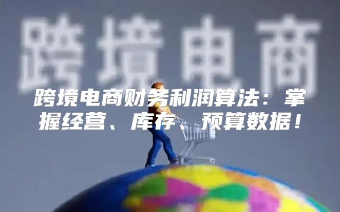 跨境电商财务利润算法：掌握经营、库存、预算数据！