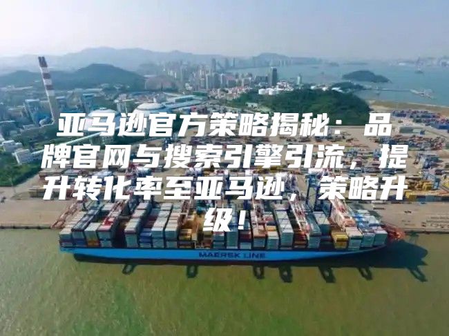 亚马逊官方策略揭秘：品牌官网与搜索引擎引流，提升转化率至亚马逊，策略升级！