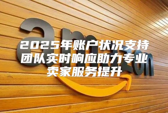 2025年账户状况支持团队实时响应助力专业卖家服务提升