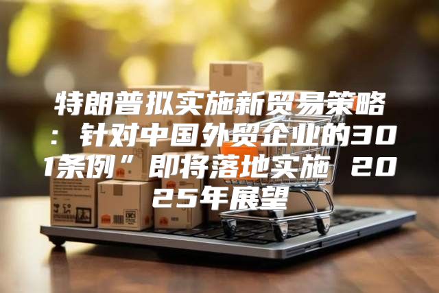 特朗普拟实施新贸易策略：针对中国外贸企业的301条例”即将落地实施 2025年展望