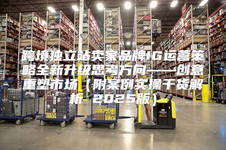 跨境独立站卖家品牌IG运营策略全新升级思考方向——创意重塑市场附案例实操干货解析 2025版