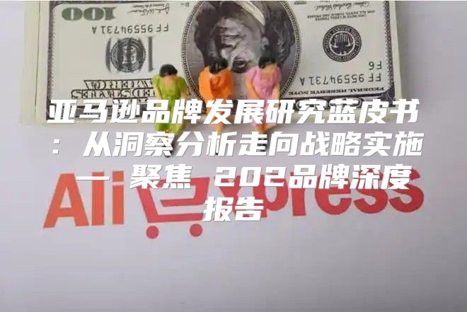 亚马逊品牌发展研究蓝皮书：从洞察分析走向战略实施 — 聚焦 202品牌深度报告