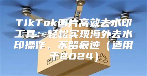 TikTok图片高效去水印工具：轻松实现海外去水印操作，不留痕迹适用于2025
