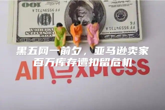 黑五网一前夕，亚马逊卖家百万库存遭扣留危机