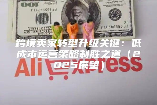 跨境卖家转型升级关键：低成本运营策略制胜之道2025展望