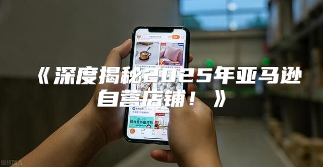 深度揭秘2025年亚马逊自营店铺！