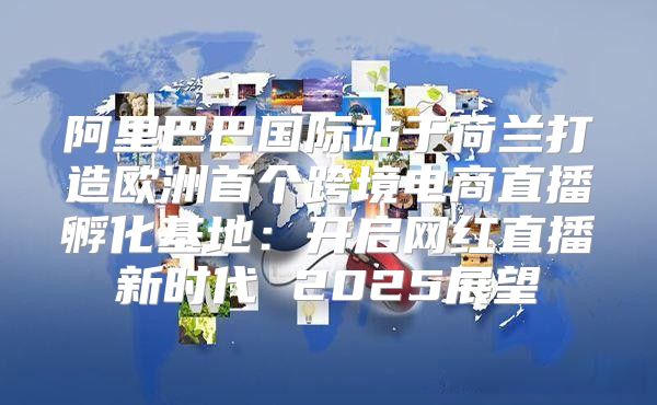 阿里巴巴国际站于荷兰打造欧洲首个跨境电商直播孵化基地：开启网红直播新时代 2025展望
