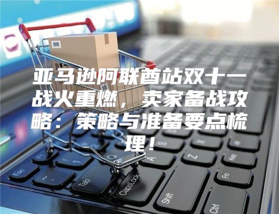 亚马逊阿联酋站双十一战火重燃，卖家备战攻略：策略与准备要点梳理！
