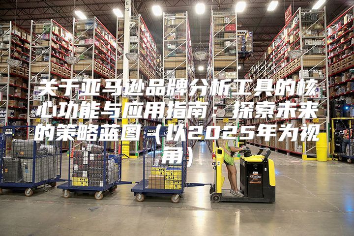关于亚马逊品牌分析工具的核心功能与应用指南：探索未来的策略蓝图以2025年为视角