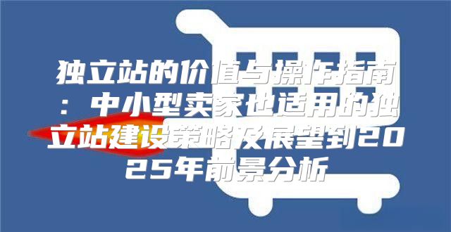 独立站的价值与操作指南：中小型卖家也适用的独立站建设策略及展望到2025年前景分析