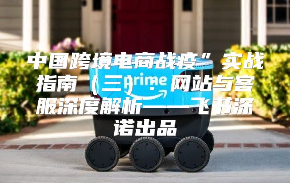中国跨境电商战疫”实战指南三：网站与客服深度解析——飞书深诺出品