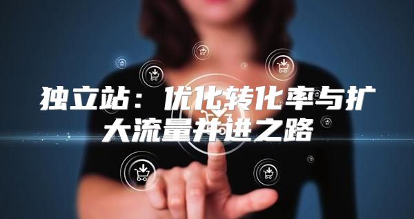 独立站：优化转化率与扩大流量并进之路