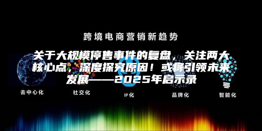 关于大规模停售事件的复盘，关注两大核心点，深度探究原因！或将引领未来发展——2025年启示录