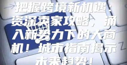 把握跨境新机遇：资深卖家攻略，涌入新势力下的大商机！城市指南揭示未来趋势！