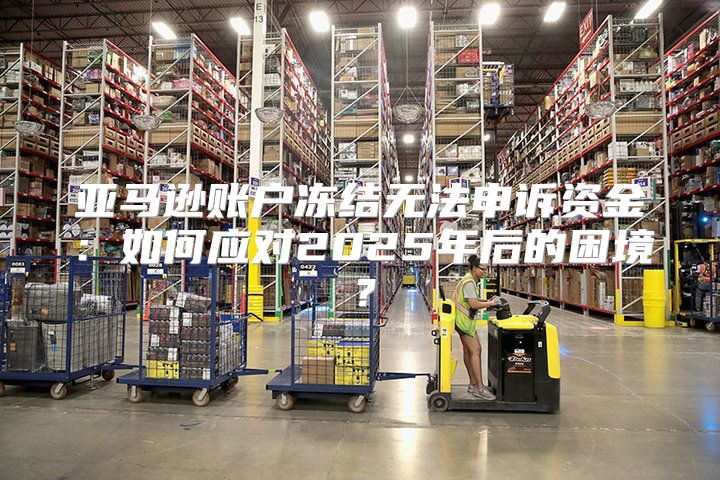亚马逊账户冻结无法申诉资金：如何应对2025年后的困境？