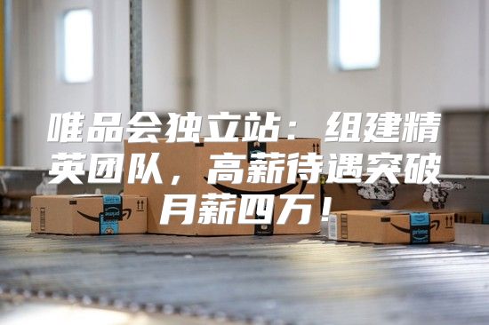 唯品会独立站：组建精英团队，高薪待遇突破月薪四万！