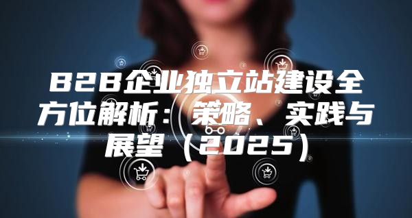 B2B企业独立站建设全方位解析：策略、实践与展望2025