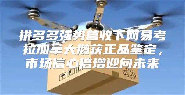 拼多多强势营收下网易考拉加拿大鹅获正品鉴定，市场信心倍增迎向未来