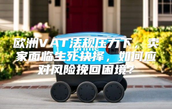 欧洲VAT法规压力下，卖家面临生死抉择，如何应对风险挽回困境？