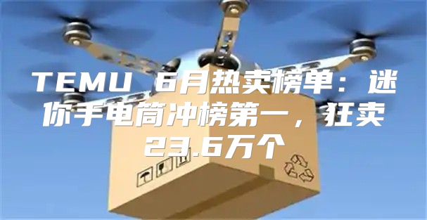 TEMU 6月热卖榜单：迷你手电筒冲榜第一，狂卖23.6万个