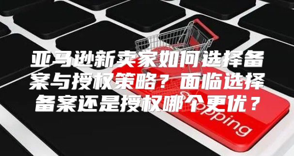 亚马逊新卖家如何选择备案与授权策略？面临选择备案还是授权哪个更优？